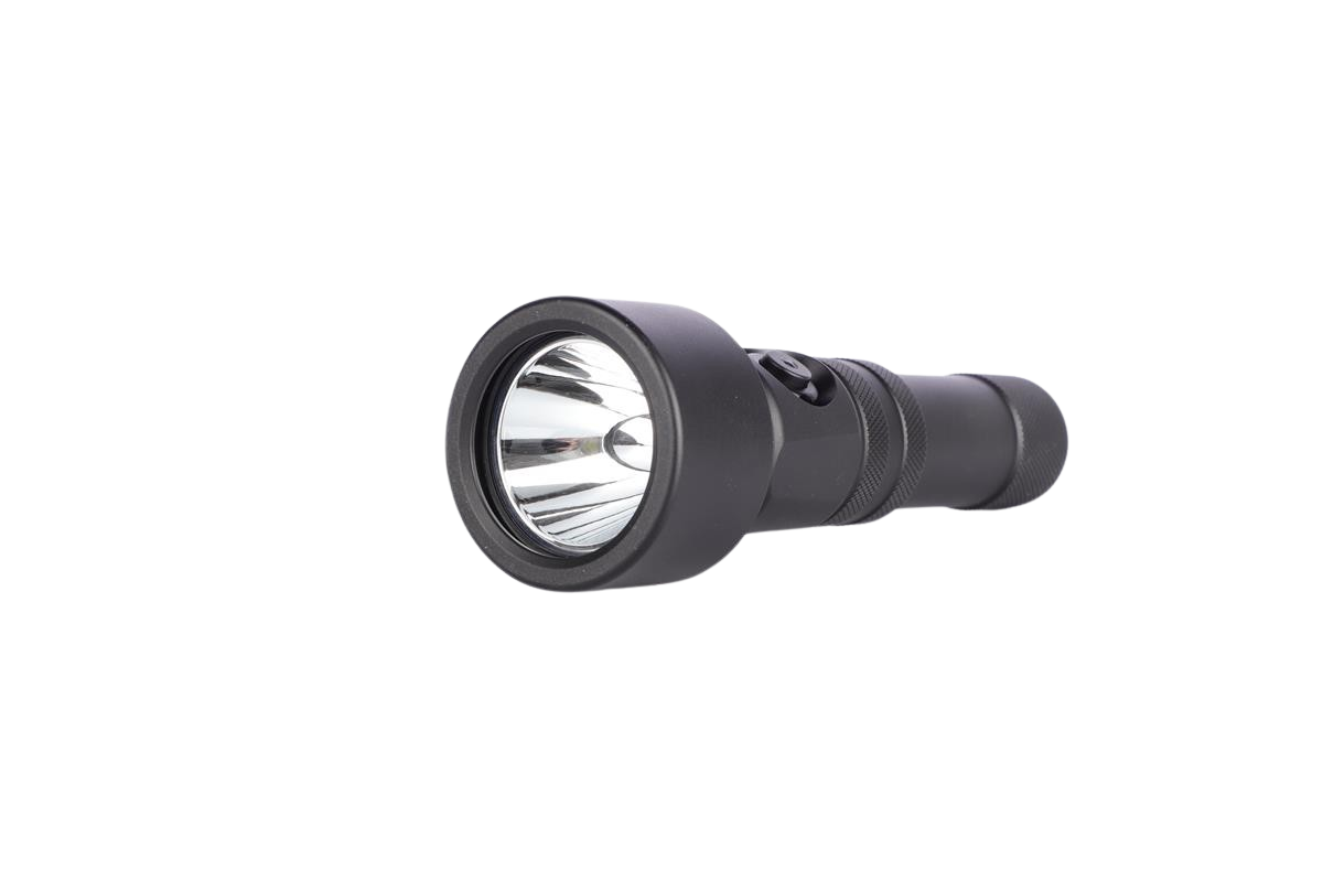 FN06- Aletas de buceo