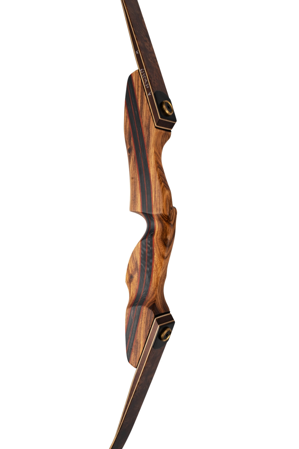 Recurve Bow-Discovery