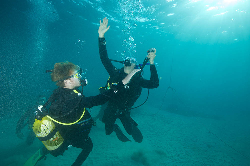 Cursos introductorios-scuba buzo