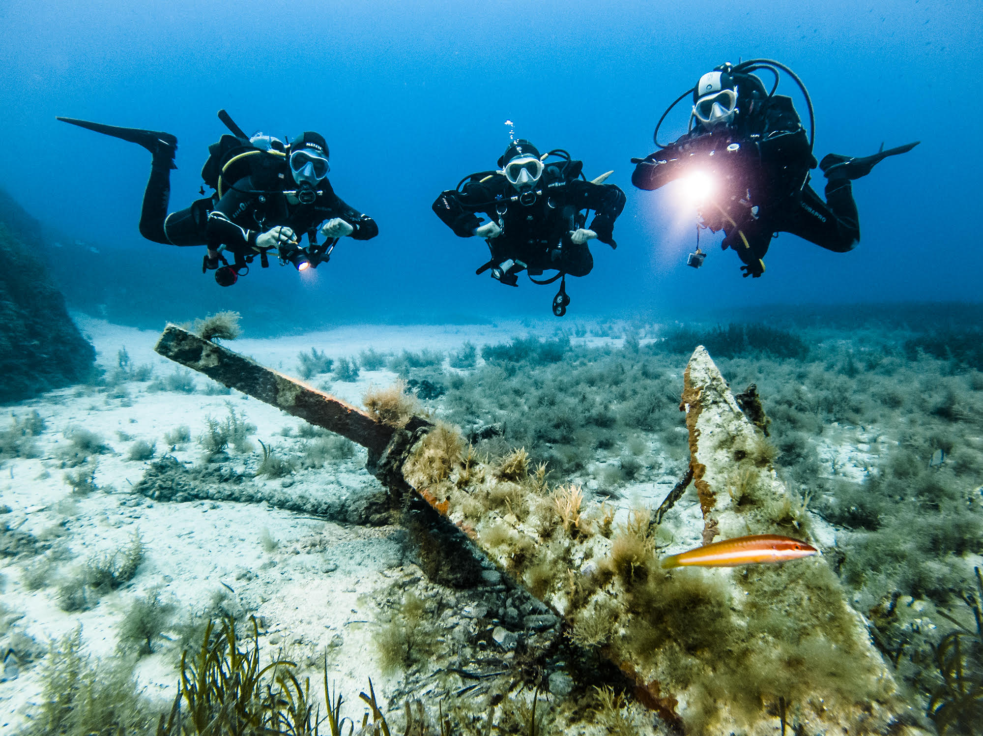 Actualización de habilidades de buceo: refrescar buceo