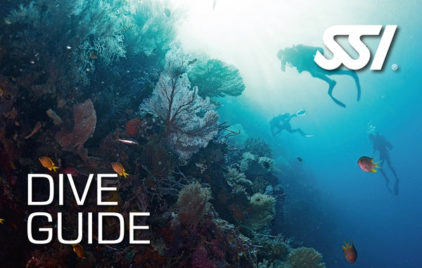 Dive Master
