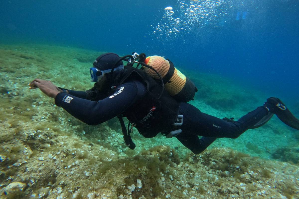 Introductory Courses-Scuba Diver
