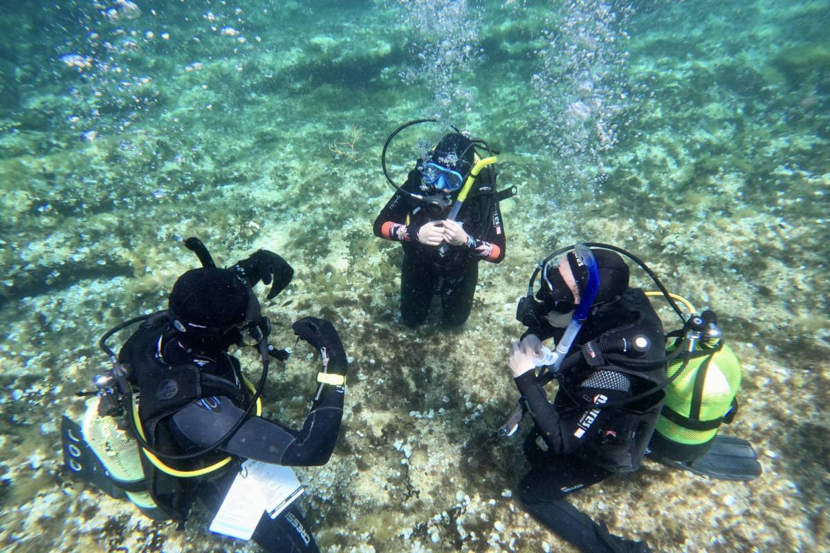 Introductory Courses-Scuba Diver