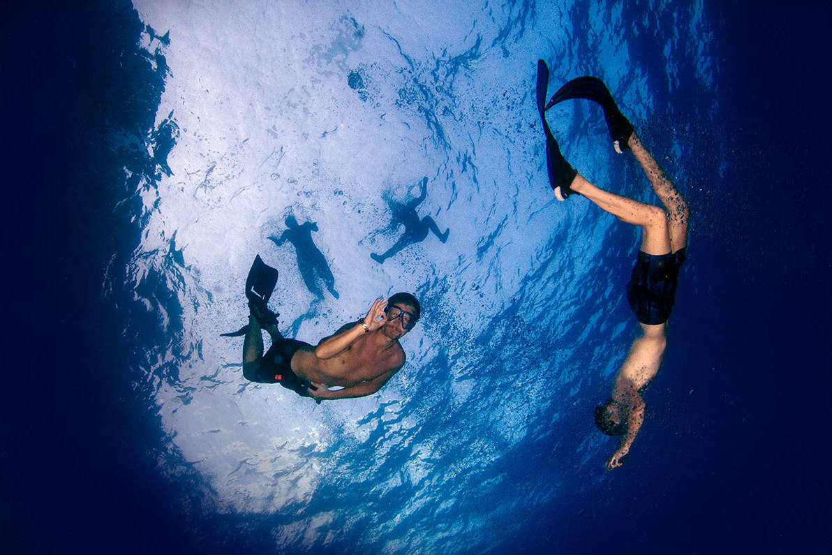 Snorkelling Trip (Min 2 Pax)